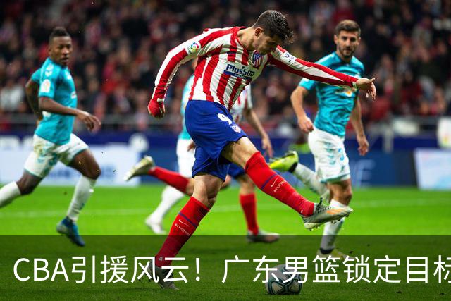 CBA引援风云！广东男篮锁定目标，杜锋心仪已久需花重金